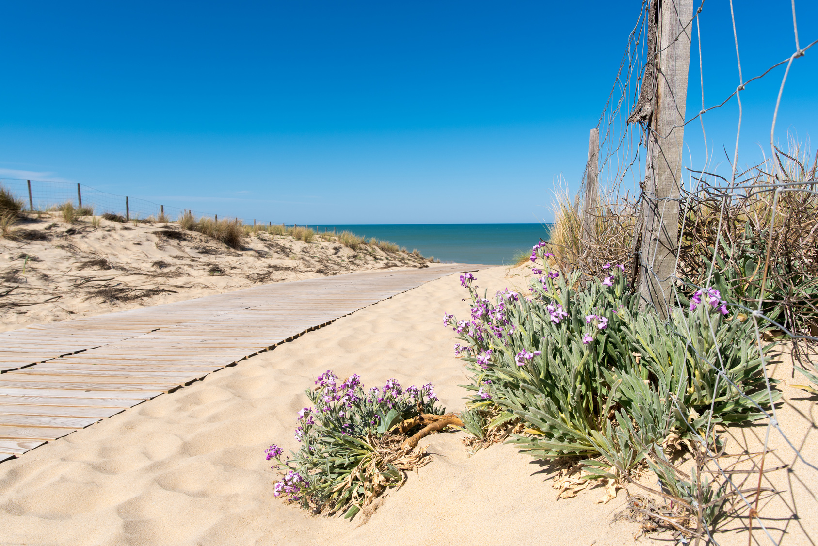 France 4 naturisme : des plages naturistes d&rsquo;exception en Gironde