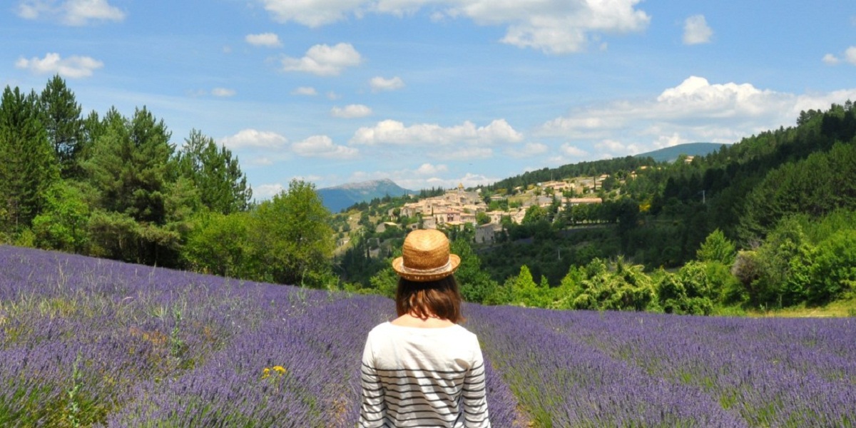 Plateau de Valensole : l&rsquo;opportunité pour séjourner entouré de champs de lavandes